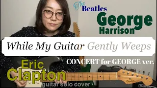 While My Guitar Gently Weeps /CONCERT for GEORGE version 【guitar solo cover】