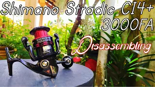 Shimano Stradic CI4+ 3000FA - Part 1 Disassembling - Reel servicing