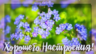 ❤Хорошего настроения!❤ Моим друзьям пожелания в стихах!