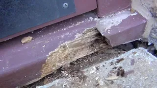 Repairing a rotting door step