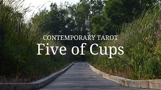 Five of Cups in 3 Minutes