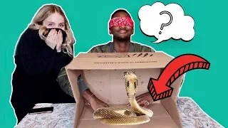 WHAT'S IN THE BOX CHALLENGE!! **SHE FREAKS OUT**