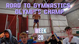 ROAD TO GYMNASTICS OLYMPIC CHAMP! WEEK 20: I Injured My Ankle! Fights, Poor Trims & Hospital Visits