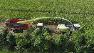 full version Cornharvest 2022 +dronefootage Jennissen Claas jaguar 990 terra trac +5 fendt + kaweco