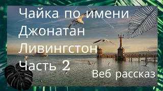 Чайка по имени Джонатан Ливингстон. Часть 2.  - Веб рассказ