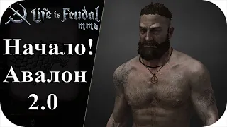 Начало выживание! |LIfe is feudal: MMO Avalon 2.0| #1