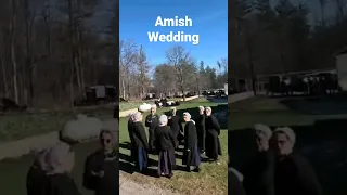 Amish Wedding PA.