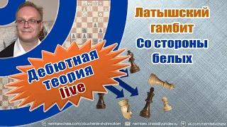 Латышский гамбит. Со стороны белых. Игорь Немцев. Шахматы