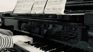 Chopin - Nocturne No.21 in C minor, Op.Posth