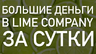 Большие деньги в Lime Company за  сутки - Лайм Битлайм Компании