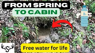 Off Grid Spring Development.  Free water for life! #offgrid #homestead