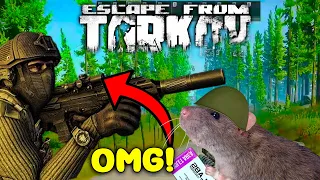 *WIPE* Escape from Tarkov - Best Highlights & EFT WTF, Funny Moments #134