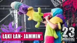 Łąki Łan - Jammin' #Woodstock2017