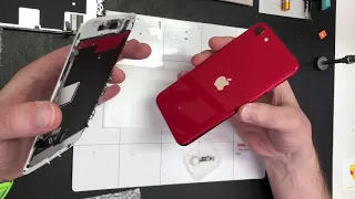 Замена экрана на iPhone SE2 (на белый☝️)