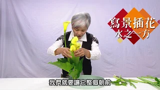 生活資訊讚【文創手作DIY】日本小原流HD插花教學-水之一方