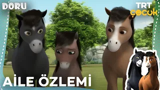 DORU | AİLE ÖZLEMİ