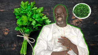 🌳Ndiarignou Persil ( Petroselinum crispum ) - Pr Ousmane Ndiaye - SAMA XALAAT TV