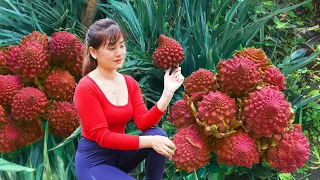 Harvesting Ginger And Papaya Flower Go to market sell, Replant vegetable in bamboo tubes