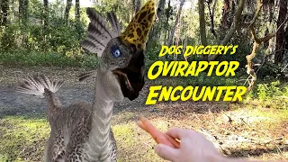 Oviraptor Encounter - Diggery hunts down a Oviraptor