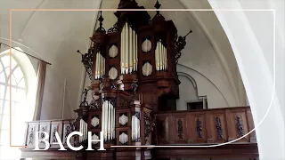 Bach - Sonata no. 6 in G major BWV 530 - Smits | Netherlands Bach Society