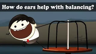 How do ears help with balancing? | #aumsum #kids #science #education #children