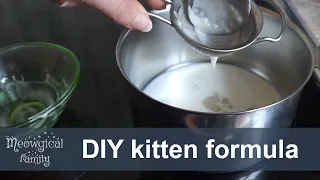 🍼 Homemade kitten formula