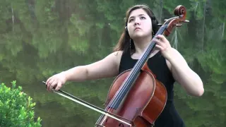 If I Fell by The Beatles - Vicky Cello