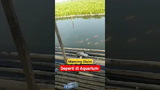 KUASA TUHAN,,,ikan disini sangat melimpah || mancing cirata terbaru 2023 || Hari ini