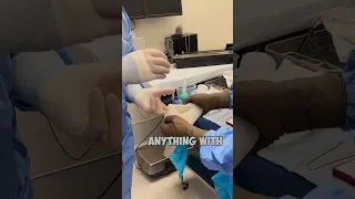 How to put on gloves for SURGERY! 🤯 #shorts