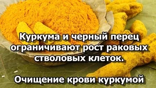 Куркума и черный перец ограничивают рост раковых стволовых клеток.  Очищение крови куркумой