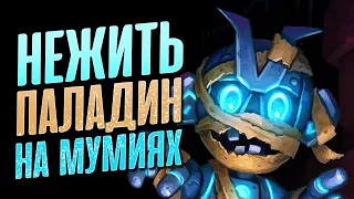 💀МЕХАНИКА ПЕРЕРОЖДЕНИЯ СЛОМАНА! КВЕСТ ПАЛАДИН НА МУМИЯХ | Вольная фан колода | Hearthstone