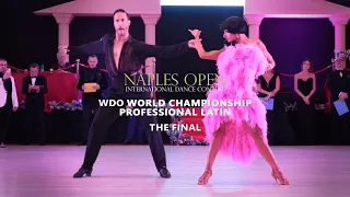 2022 WDO World Championship Professional Latin | The Final