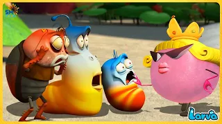 LARVA FULL EPISODE: BIG BOSS | CARTOONS MOVIES NEW VERSION | THE BEST OF CARTOON COLLECTION