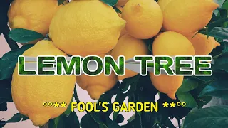 Lemon Tree - Fool's Garden | Karaoke