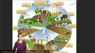 Yojana April 2024 Summary: Geological Ecosystem, Western Ghats, Soil & Sacred Groves