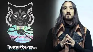 Steve Aoki - Live @ Tomorrowland 2013 (Belgium) - 26.07.2013