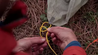 Guyline system & knots for tents, tarps, & hammocks, with Andrew Skurka