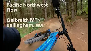 These MTB Trails are UNREAL | Riding Galbraith MTN | Bellingham, Wa