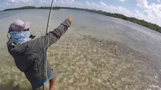 Flyfishing Mexico Yucatan Ascension Bay