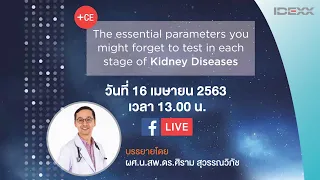 "The Essential parameters you might forget to test in each stage of kidney diseases."