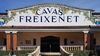 WALKING TOUR [2018.04] Freixenet Winery Tour