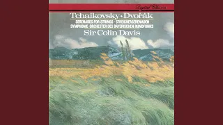 Dvořák: Serenade for Strings in E Major, Op. 22, B. 52 - I. Moderato