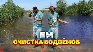 Очистка пруда или любого другого водоёма с помощью эффективных микроорганизмов (EM mud balls)