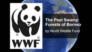 WWF: Peatland Swamps of Borneo