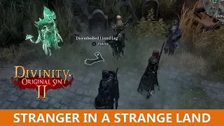 Stranger in a strange land Quest (Divinity Original Sin 2)