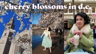 🌸 Weekend in D.C. | Cherry Blossom Festival, Brunch, National Gallery & National Shrine