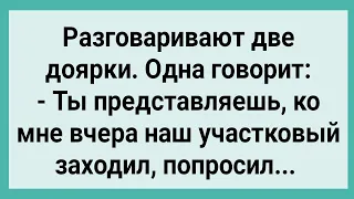 Участковый Пришел к Доярке! Сборник Свежих Смешных Жизненных Анекдотов!