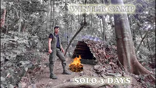 BUSHCRAFT SKILLS : Survival tiny house, Off Grid Shelter, Winter Camping, 3 Days SOLO CAMPING (p1).