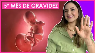 5 MESES DE GRAVIDEZ