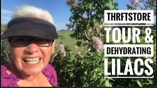 Thrift Store Tour & Dehydrating Lilacs